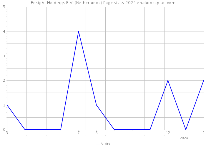 Ensight Holdings B.V. (Netherlands) Page visits 2024 