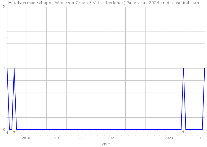 Houdstermaatschappij Wildschut Groep B.V. (Netherlands) Page visits 2024 