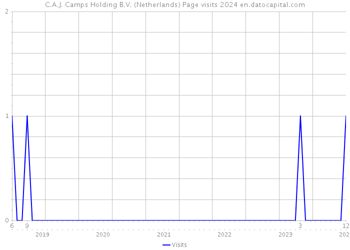 C.A.J. Camps Holding B.V. (Netherlands) Page visits 2024 
