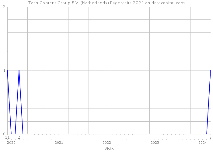 Tech Content Group B.V. (Netherlands) Page visits 2024 