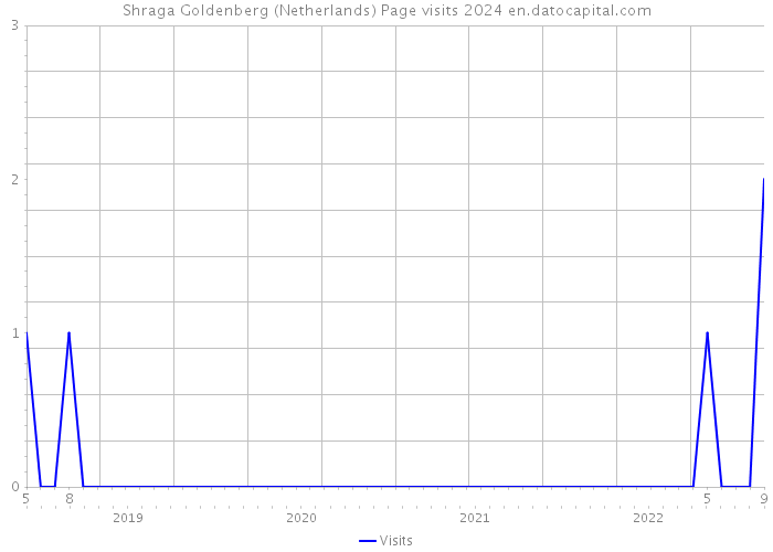 Shraga Goldenberg (Netherlands) Page visits 2024 