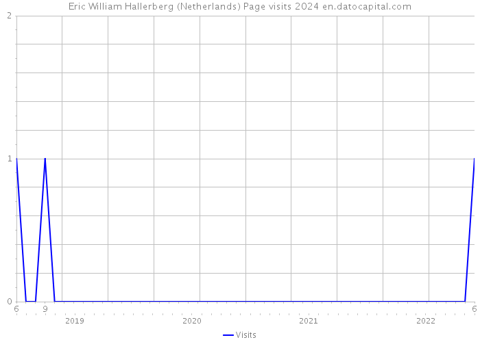 Eric William Hallerberg (Netherlands) Page visits 2024 