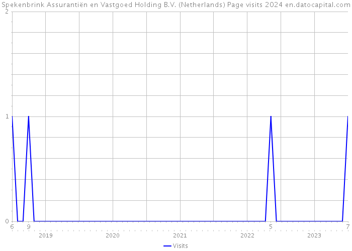 Spekenbrink Assurantiën en Vastgoed Holding B.V. (Netherlands) Page visits 2024 