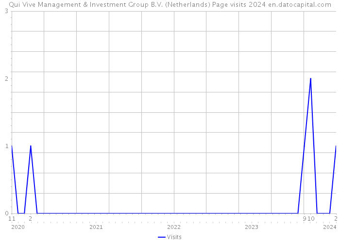 Qui Vive Management & Investment Group B.V. (Netherlands) Page visits 2024 