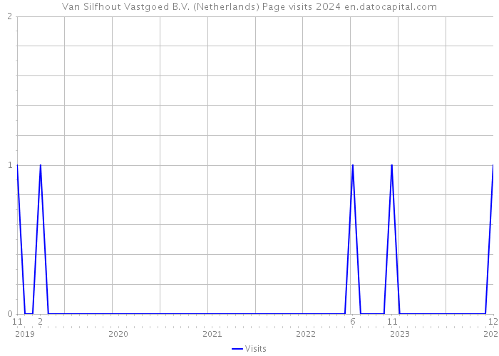 Van Silfhout Vastgoed B.V. (Netherlands) Page visits 2024 