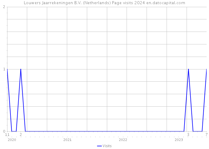 Louwers Jaarrekeningen B.V. (Netherlands) Page visits 2024 
