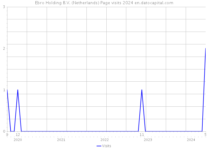 Ebro Holding B.V. (Netherlands) Page visits 2024 
