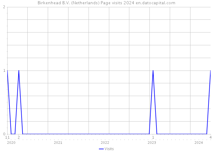 Birkenhead B.V. (Netherlands) Page visits 2024 