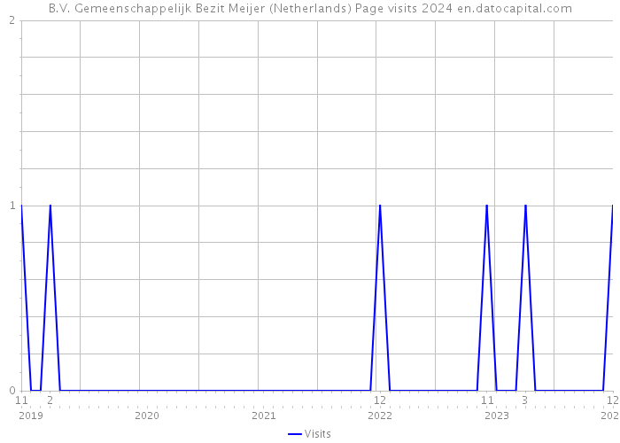 B.V. Gemeenschappelijk Bezit Meijer (Netherlands) Page visits 2024 