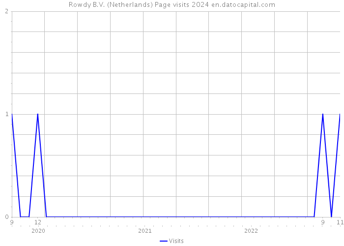 Rowdy B.V. (Netherlands) Page visits 2024 
