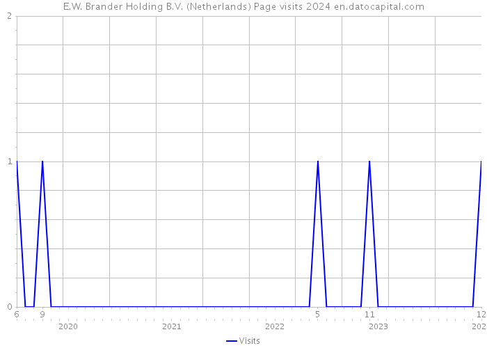 E.W. Brander Holding B.V. (Netherlands) Page visits 2024 