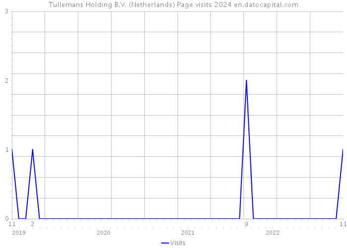 Tullemans Holding B.V. (Netherlands) Page visits 2024 