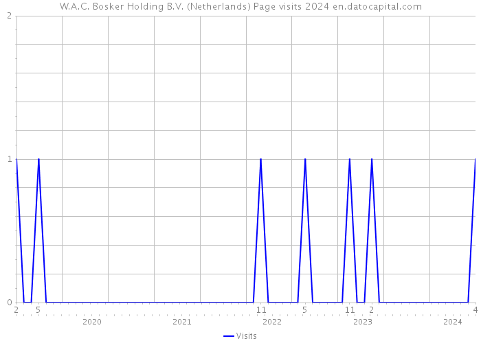 W.A.C. Bosker Holding B.V. (Netherlands) Page visits 2024 