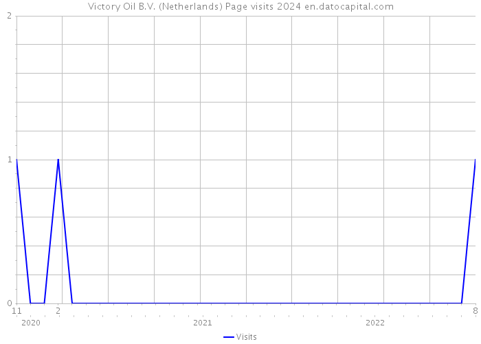 Victory Oil B.V. (Netherlands) Page visits 2024 