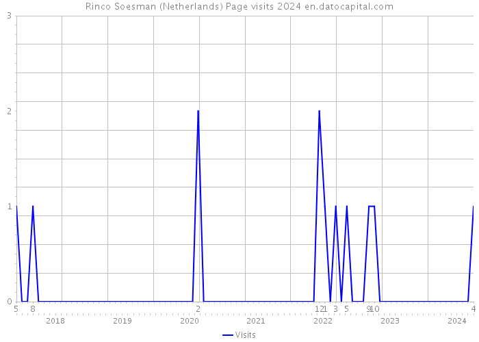 Rinco Soesman (Netherlands) Page visits 2024 