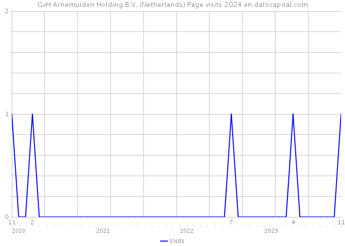 GvH Arnemuiden Holding B.V. (Netherlands) Page visits 2024 