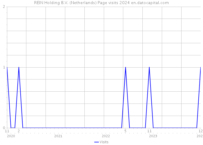 REIN Holding B.V. (Netherlands) Page visits 2024 