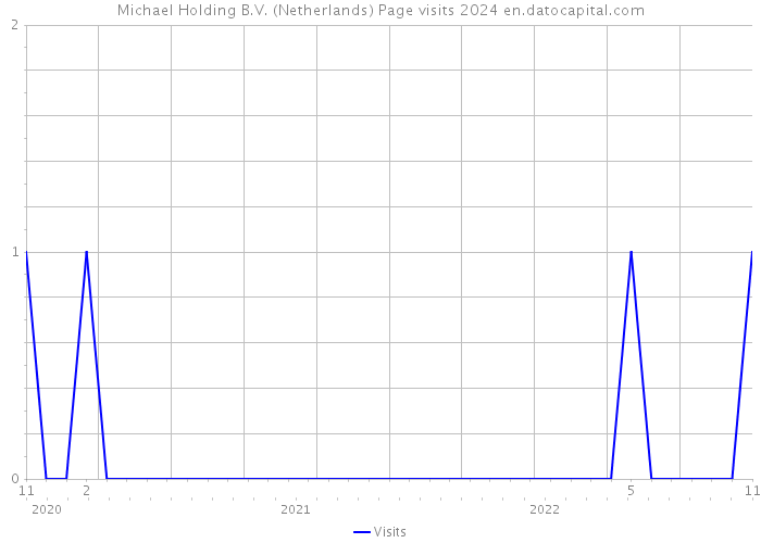 Michael Holding B.V. (Netherlands) Page visits 2024 