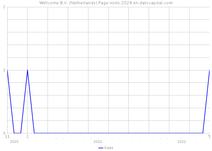 Wellcome B.V. (Netherlands) Page visits 2024 