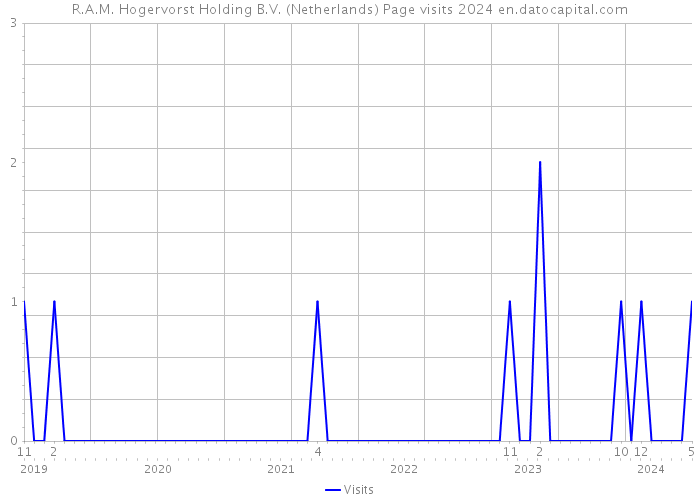 R.A.M. Hogervorst Holding B.V. (Netherlands) Page visits 2024 