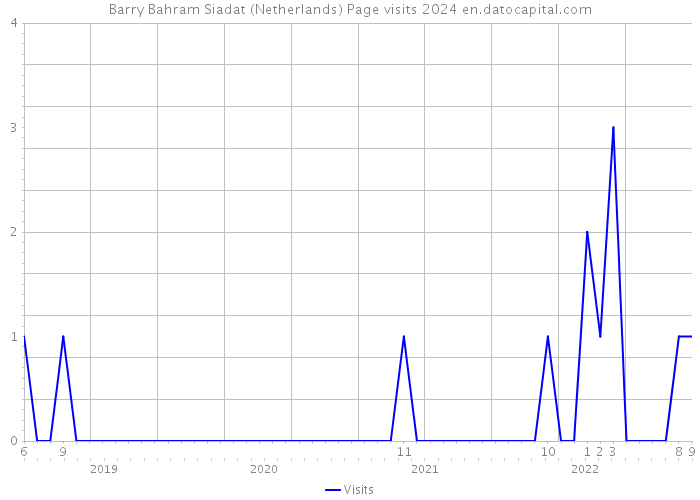 Barry Bahram Siadat (Netherlands) Page visits 2024 