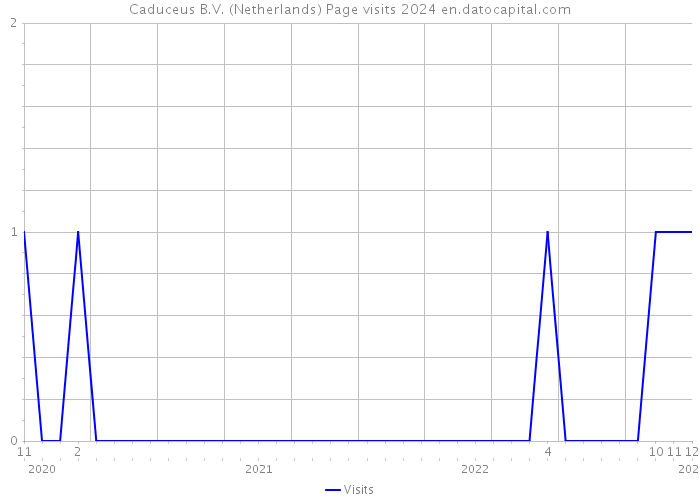 Caduceus B.V. (Netherlands) Page visits 2024 