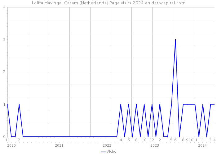 Lolita Havinga-Caram (Netherlands) Page visits 2024 