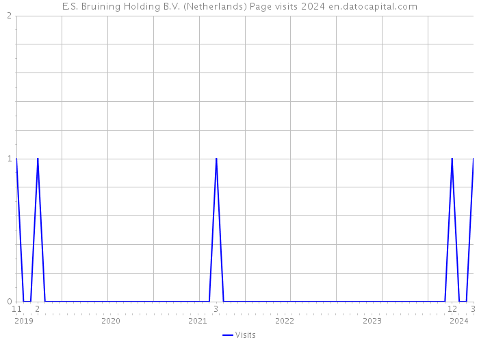 E.S. Bruining Holding B.V. (Netherlands) Page visits 2024 