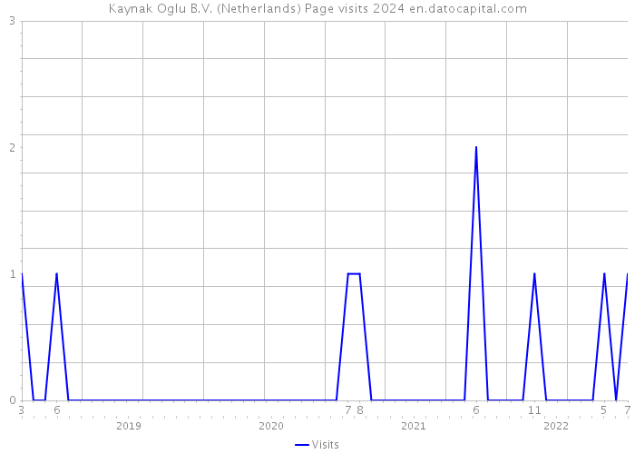 Kaynak Oglu B.V. (Netherlands) Page visits 2024 