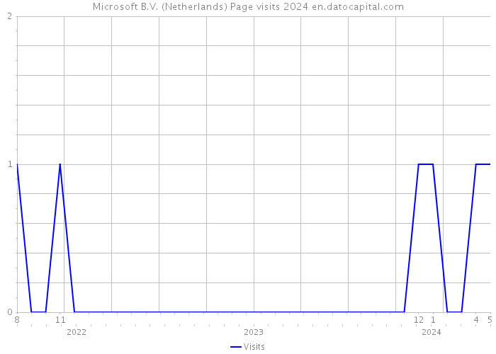 Microsoft B.V. (Netherlands) Page visits 2024 