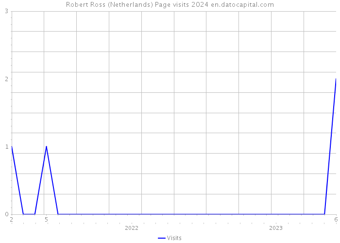 Robert Ross (Netherlands) Page visits 2024 