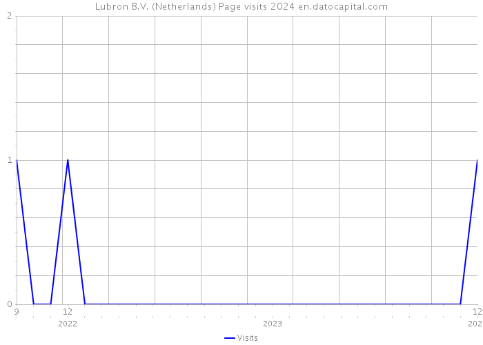 Lubron B.V. (Netherlands) Page visits 2024 