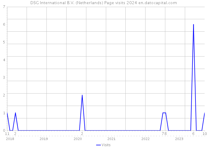 DSG International B.V. (Netherlands) Page visits 2024 