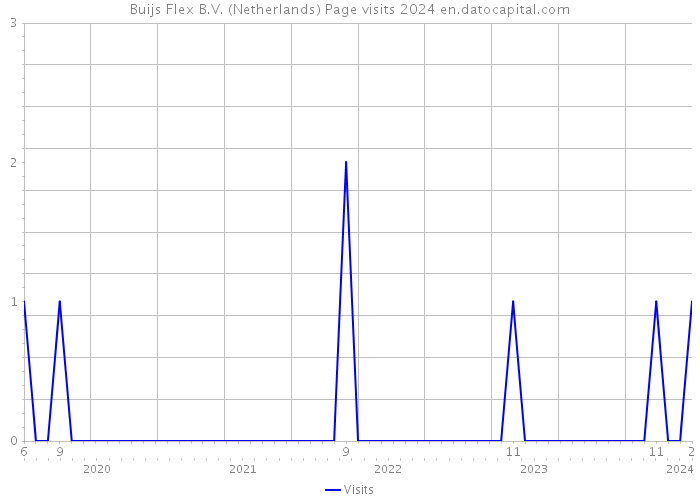 Buijs Flex B.V. (Netherlands) Page visits 2024 
