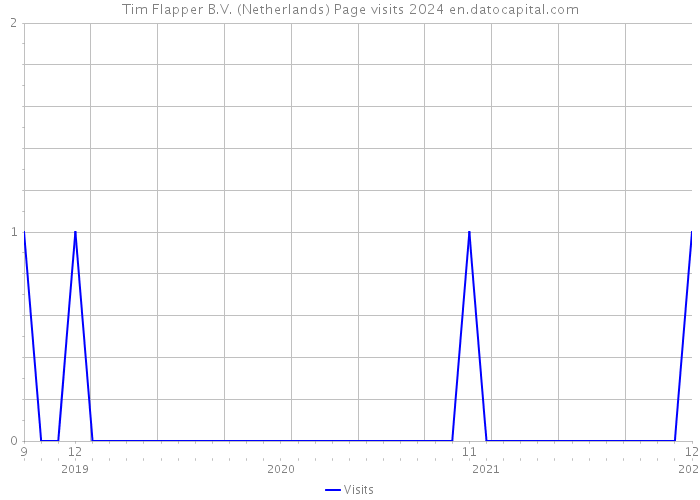 Tim Flapper B.V. (Netherlands) Page visits 2024 