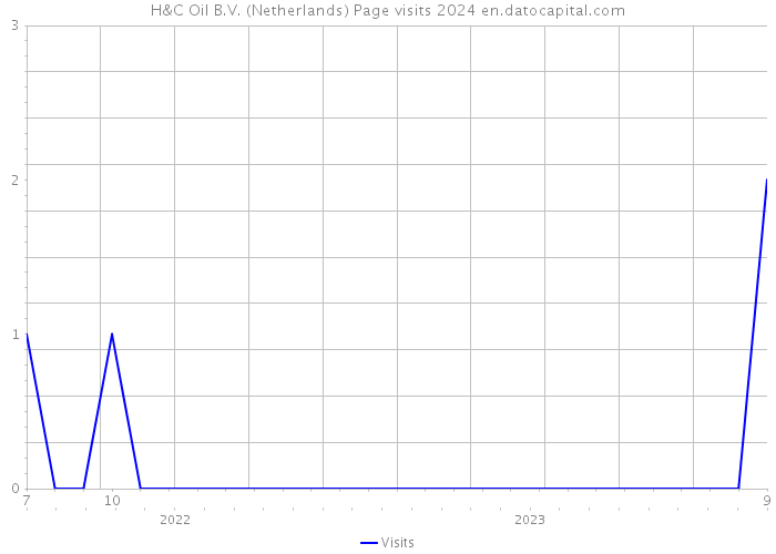 H&C Oil B.V. (Netherlands) Page visits 2024 