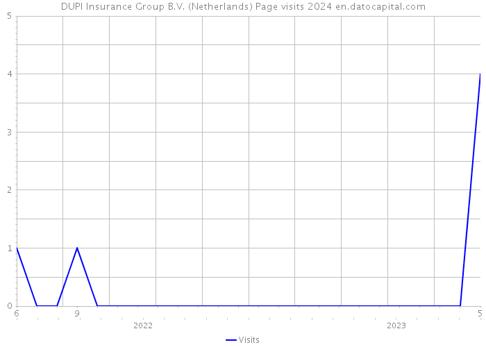 DUPI Insurance Group B.V. (Netherlands) Page visits 2024 