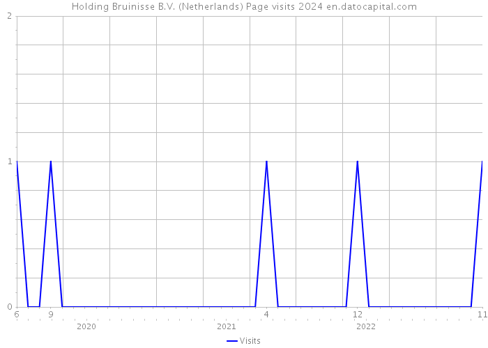 Holding Bruinisse B.V. (Netherlands) Page visits 2024 