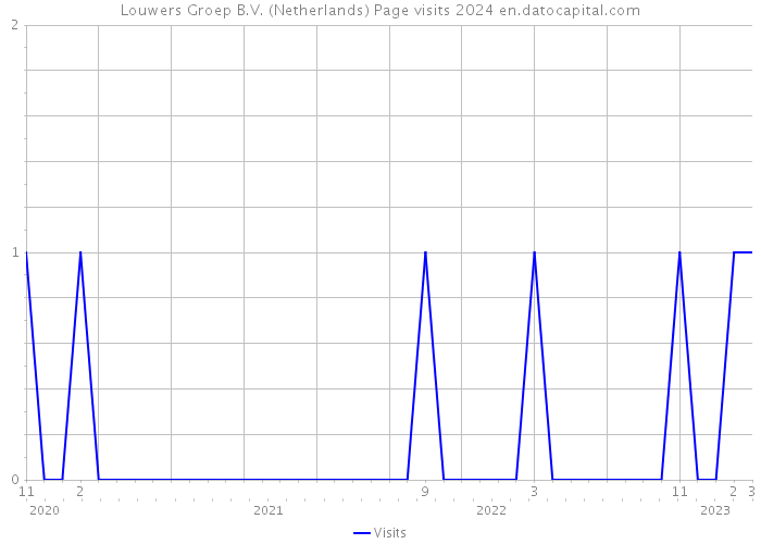 Louwers Groep B.V. (Netherlands) Page visits 2024 