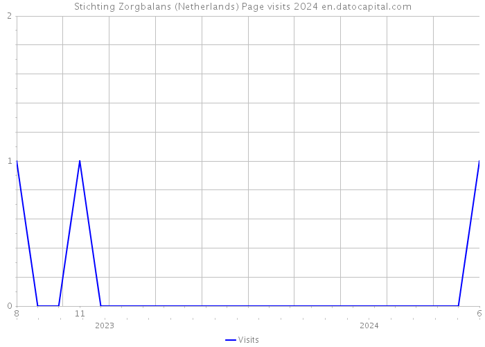 Stichting Zorgbalans (Netherlands) Page visits 2024 