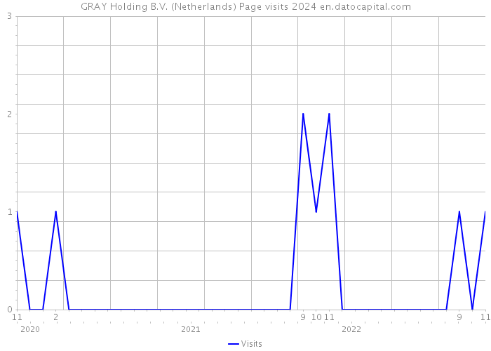 GRAY Holding B.V. (Netherlands) Page visits 2024 