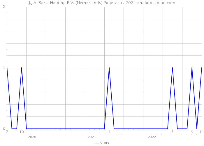 J.J.A. Borst Holding B.V. (Netherlands) Page visits 2024 