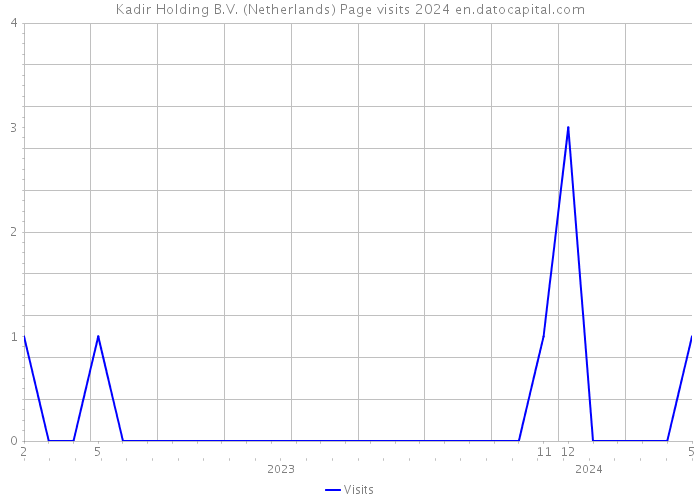 Kadir Holding B.V. (Netherlands) Page visits 2024 
