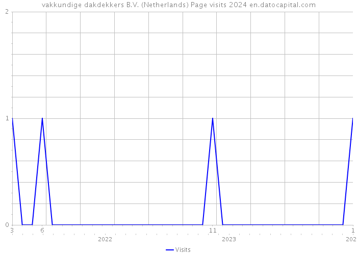 vakkundige dakdekkers B.V. (Netherlands) Page visits 2024 
