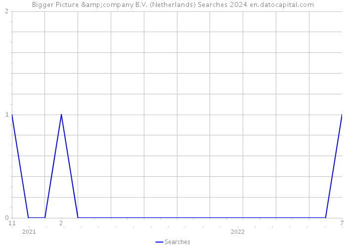 Bigger Picture &company B.V. (Netherlands) Searches 2024 