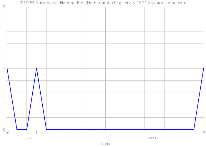 TINTER Automotive Holding B.V. (Netherlands) Page visits 2024 