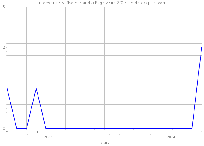Interwork B.V. (Netherlands) Page visits 2024 