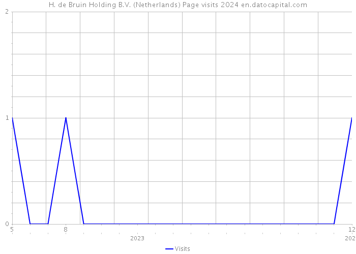 H. de Bruin Holding B.V. (Netherlands) Page visits 2024 