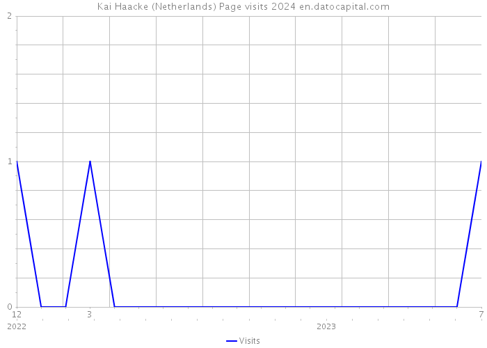 Kai Haacke (Netherlands) Page visits 2024 
