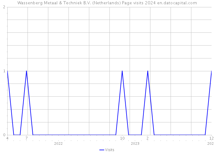 Wassenberg Metaal & Techniek B.V. (Netherlands) Page visits 2024 